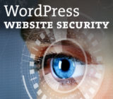 WordPress website security